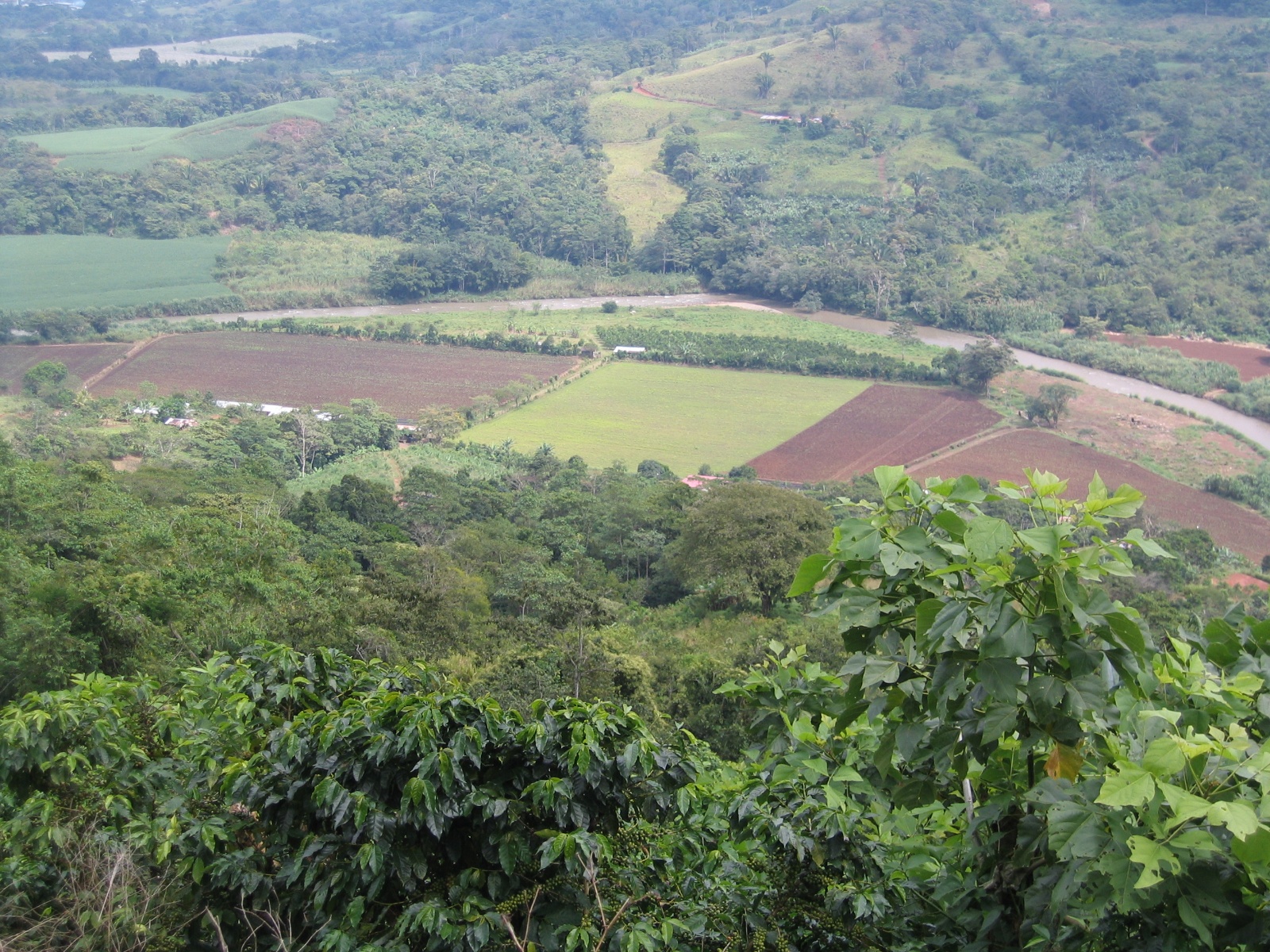 Costarica066