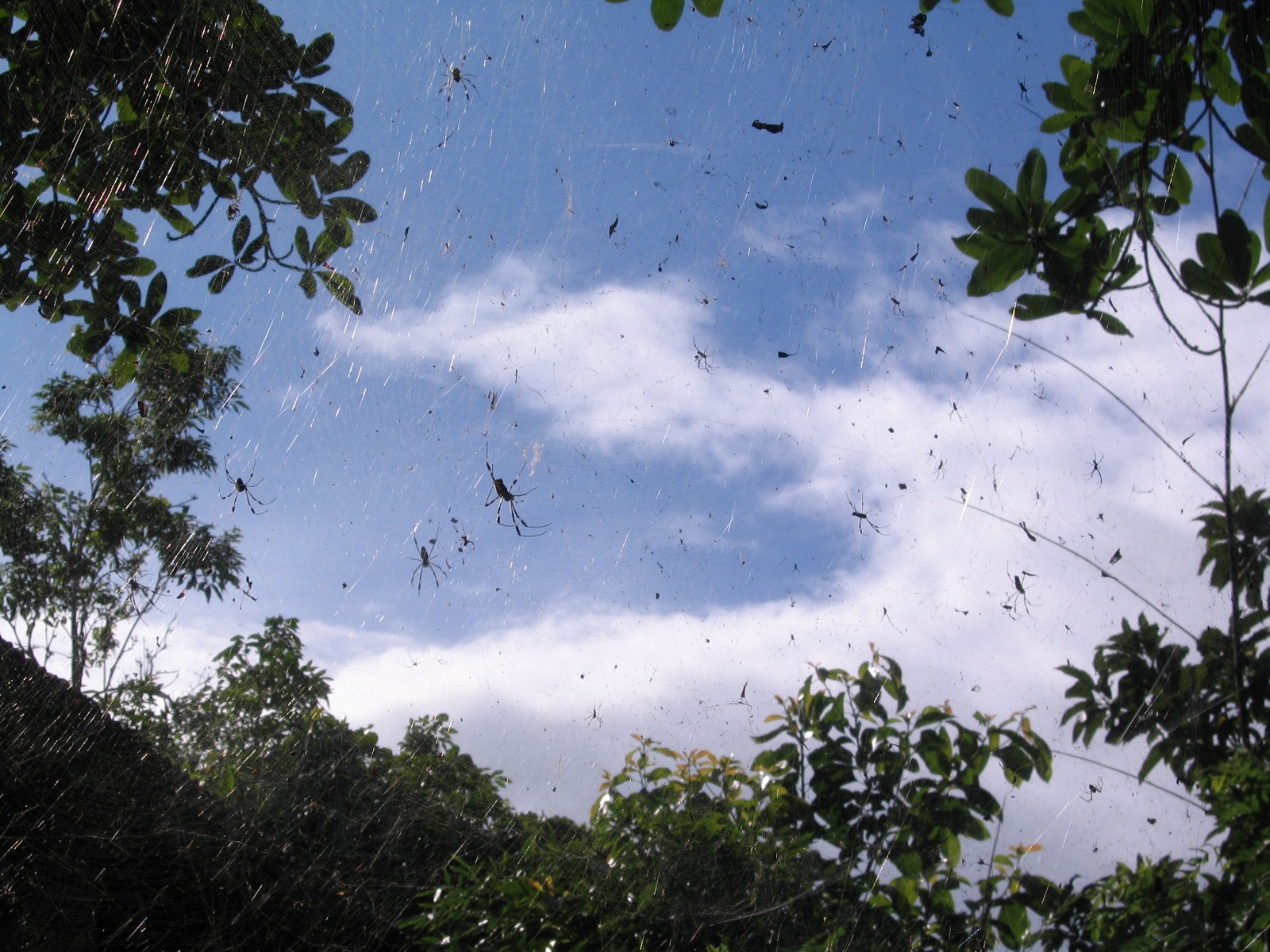 Costarica079