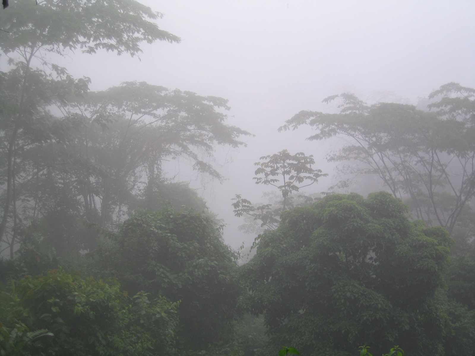 Costarica082