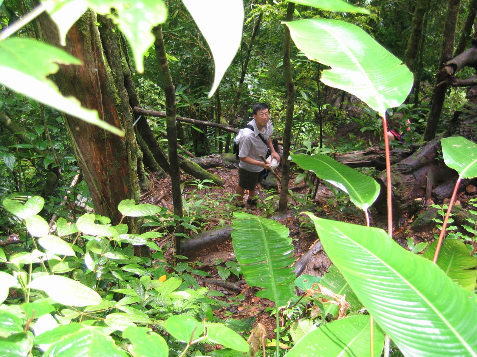 Costarica084
