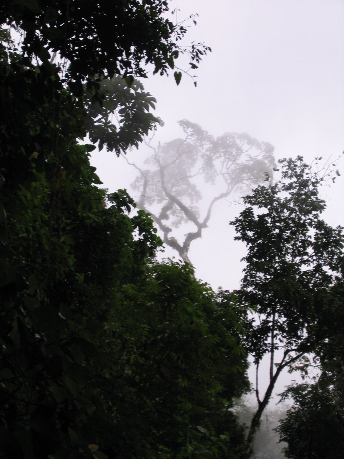 Costarica086