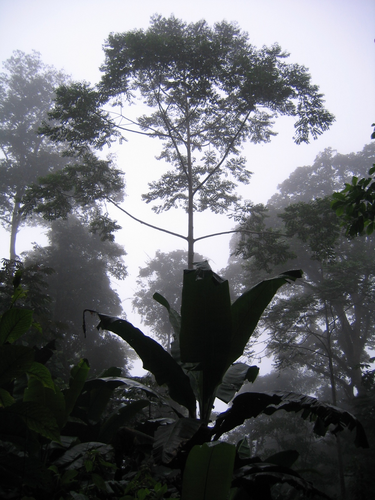 Costarica087