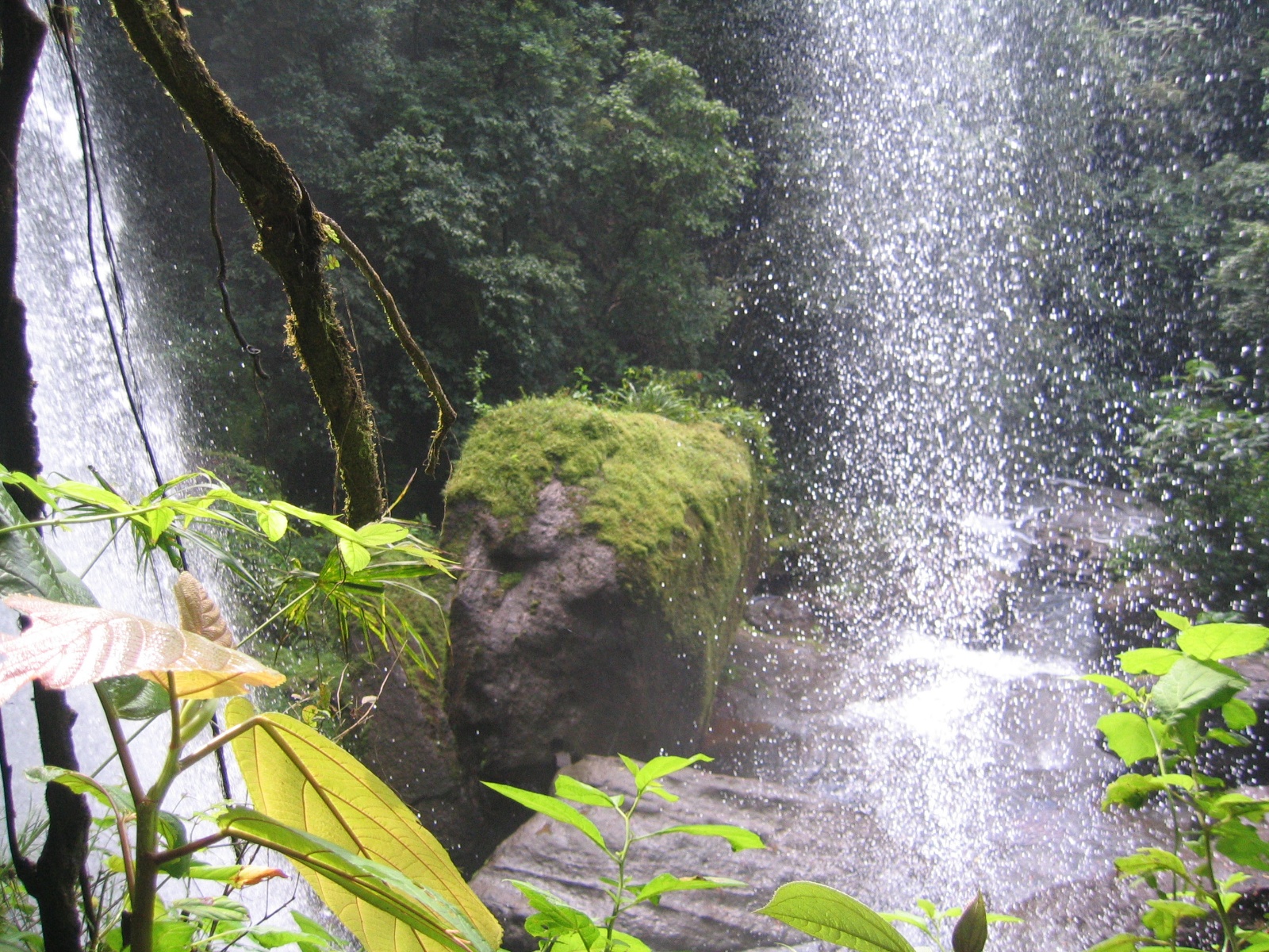 Costarica097