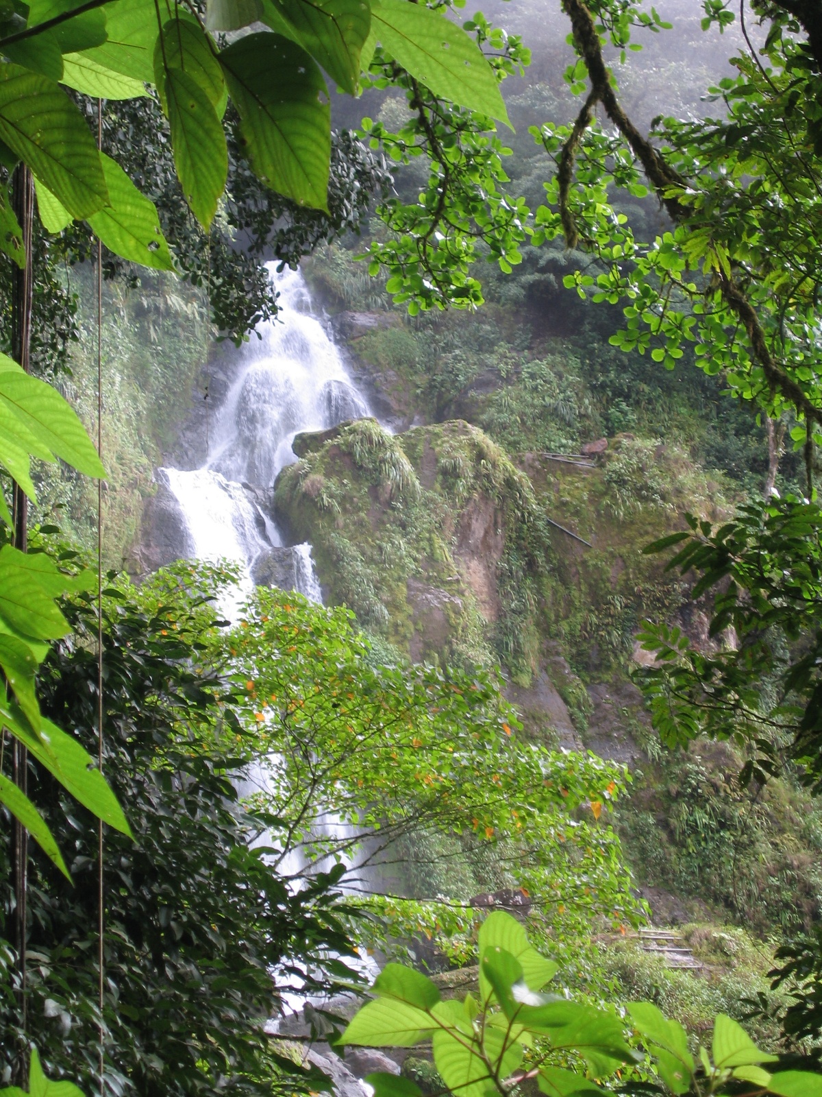 Costarica099