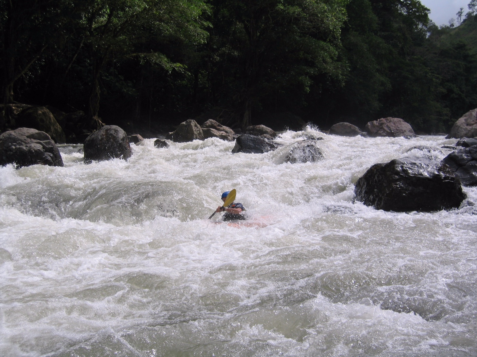 Pacuare005