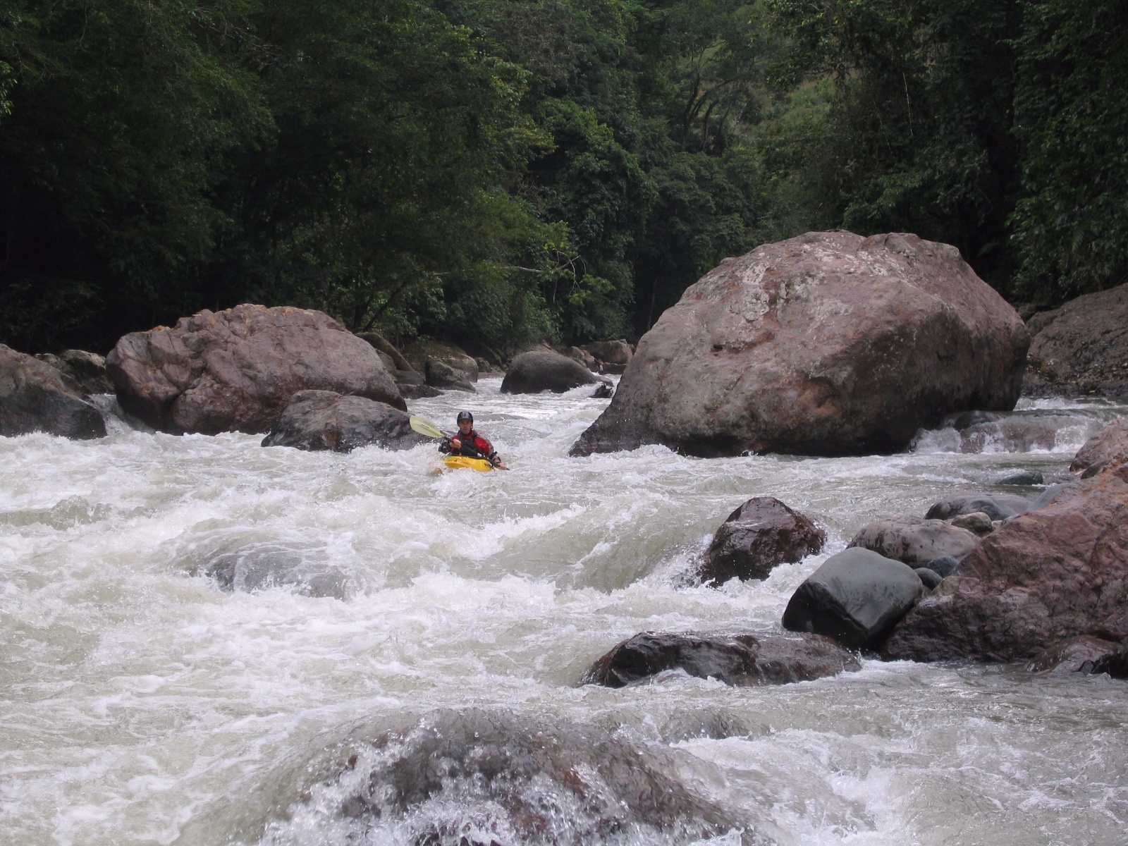 Pacuare014
