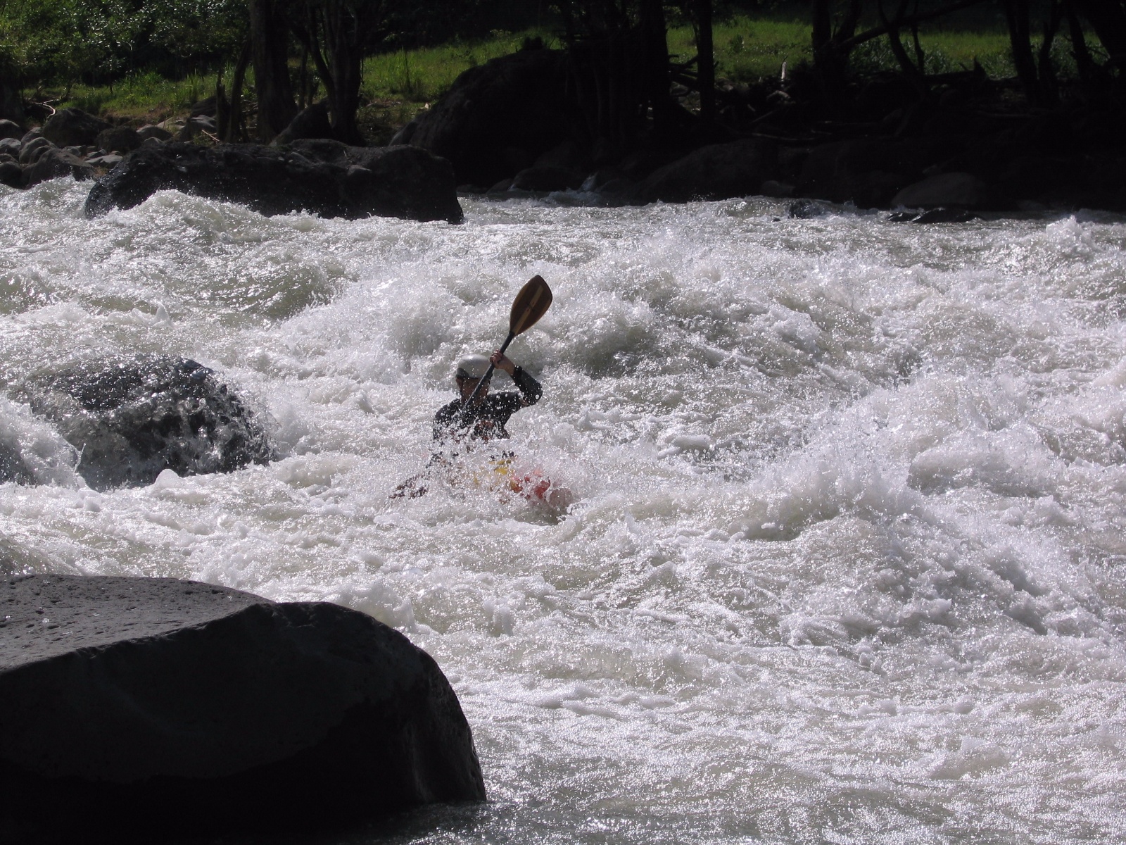 Pacuare018