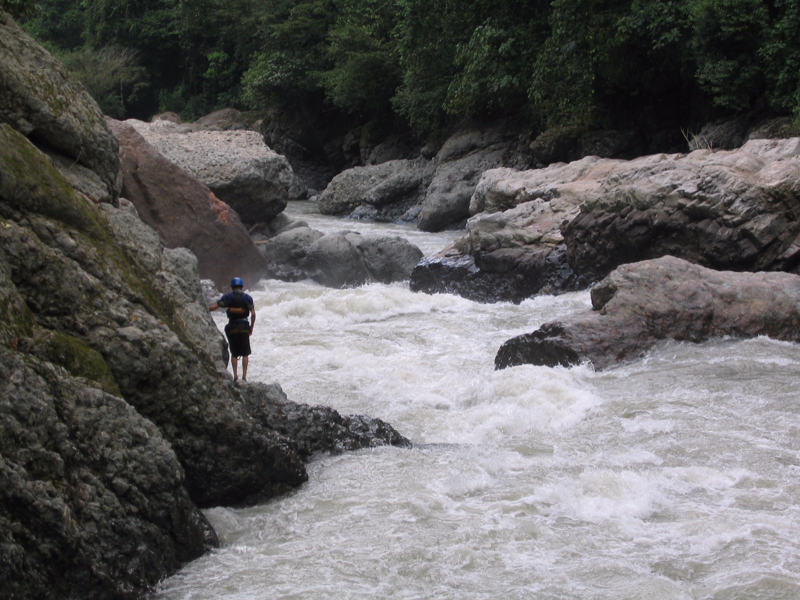 Pacuare034