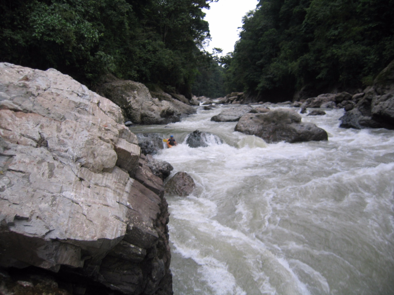 Pacuare038