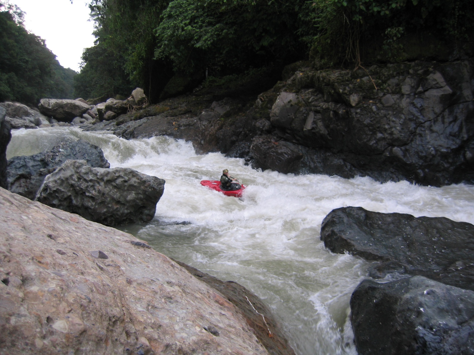 Pacuare041