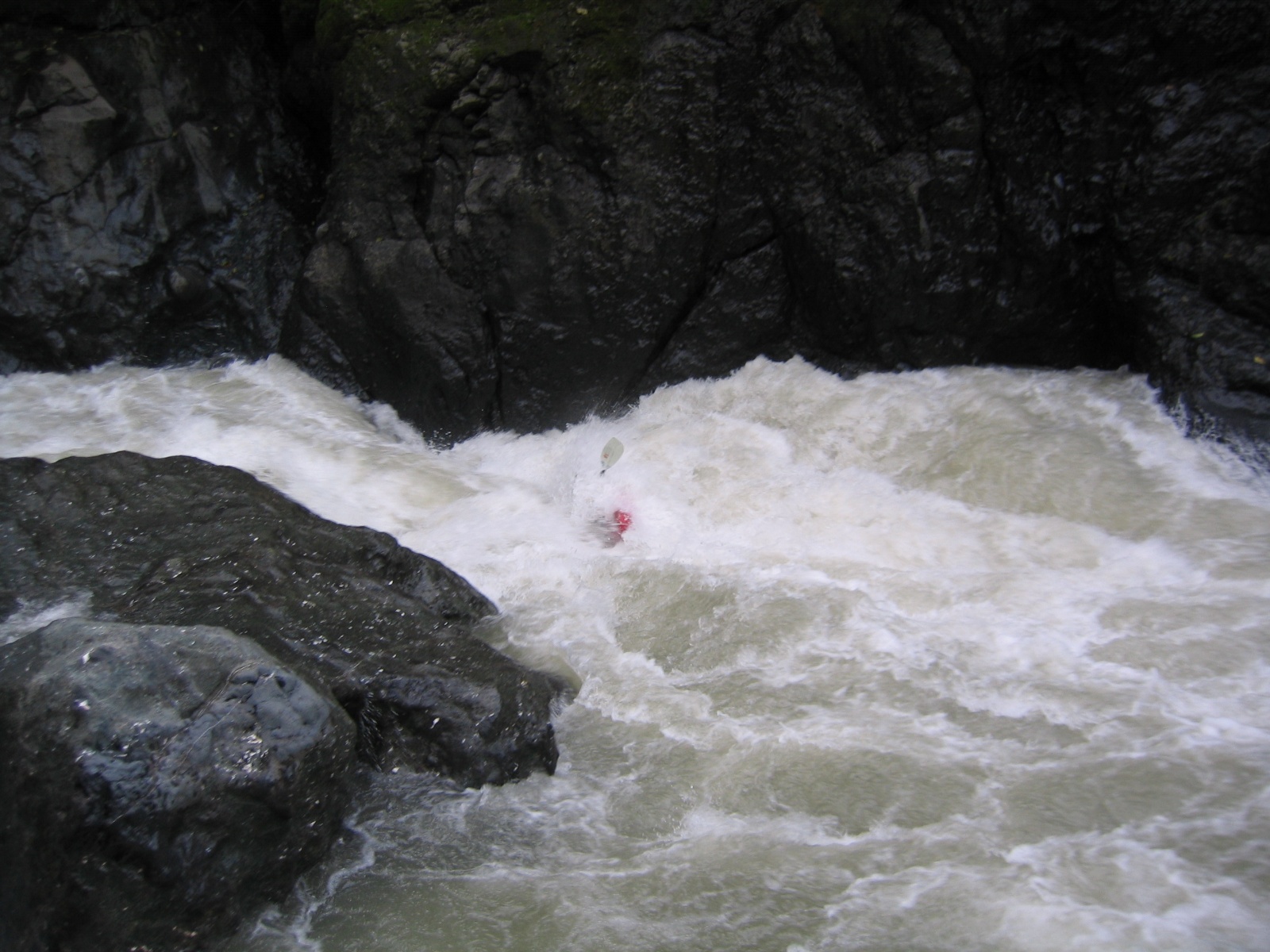 Pacuare042