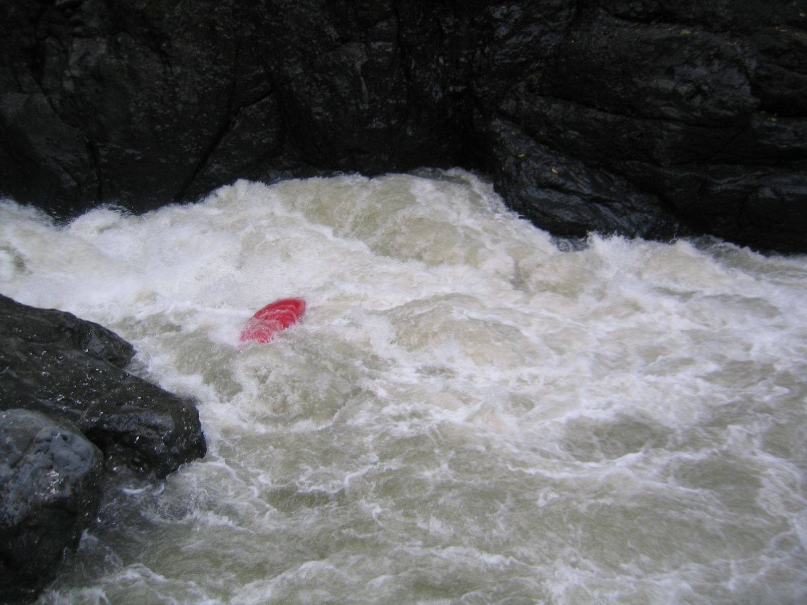 Pacuare043