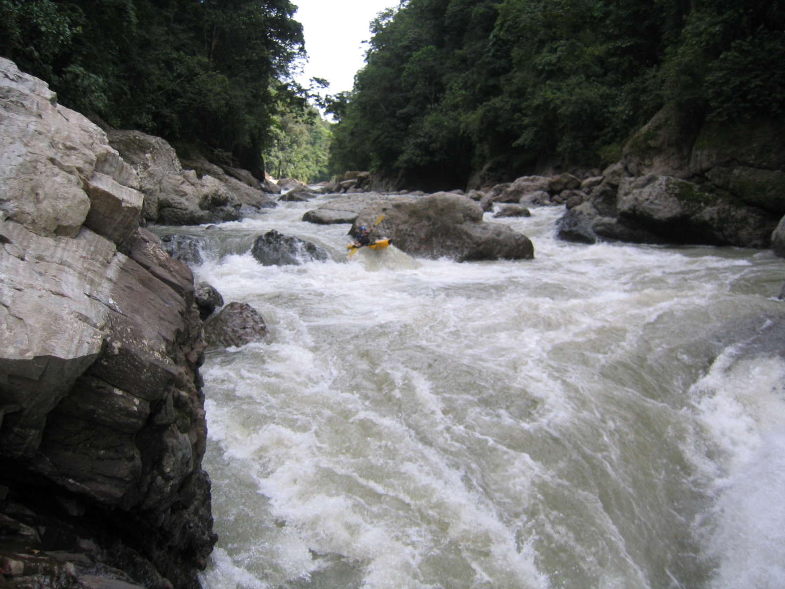 Pacuare057