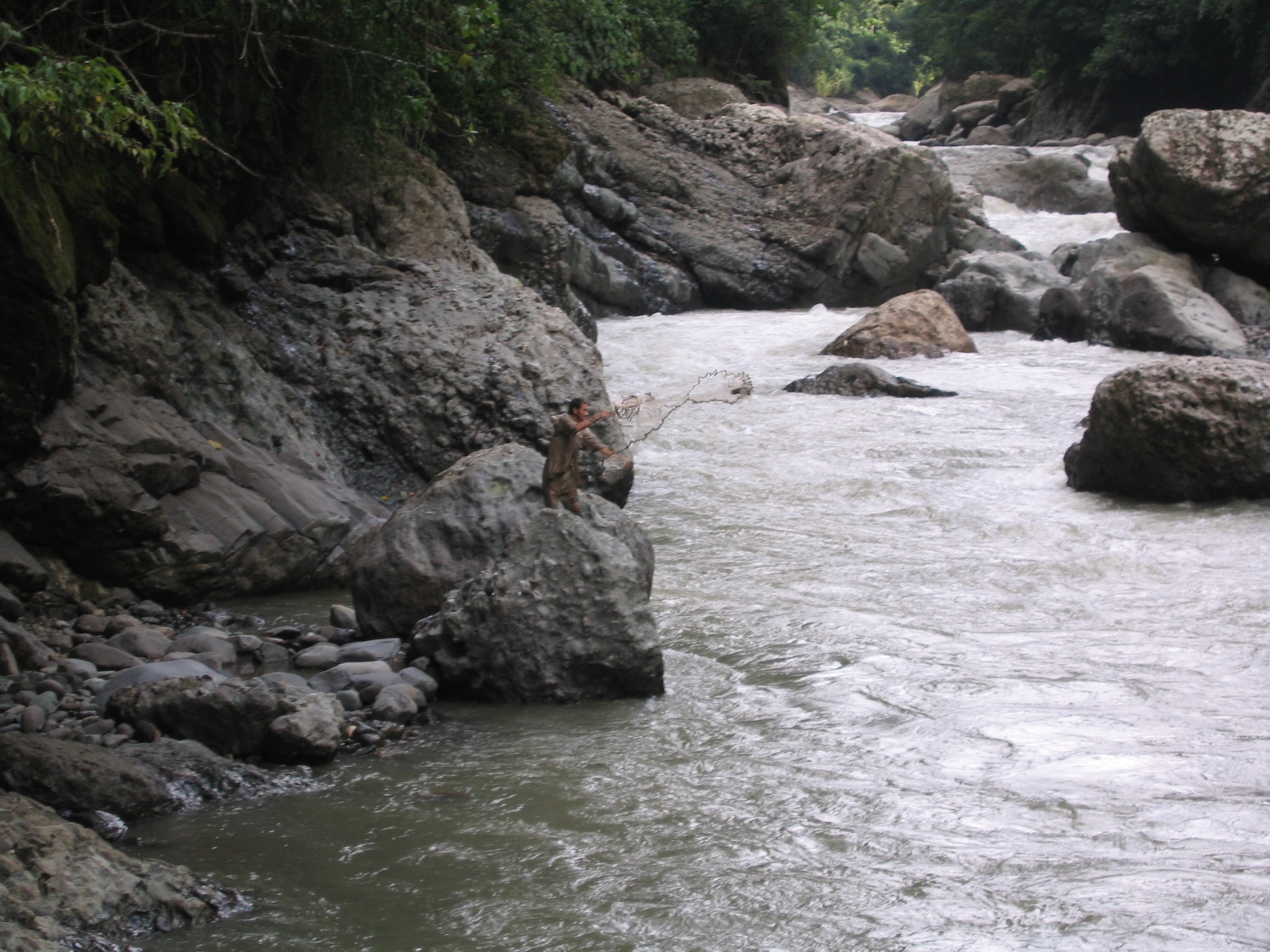 Pacuare059