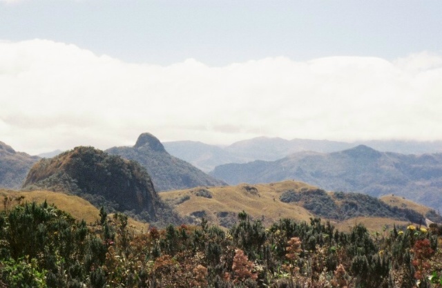 Amazonbasin