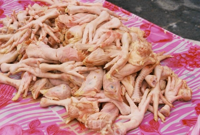 Chickens 1