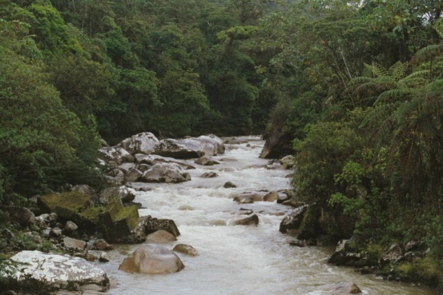 Jandachi