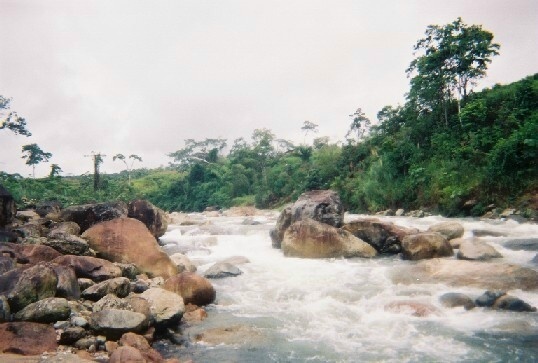 Rivershot