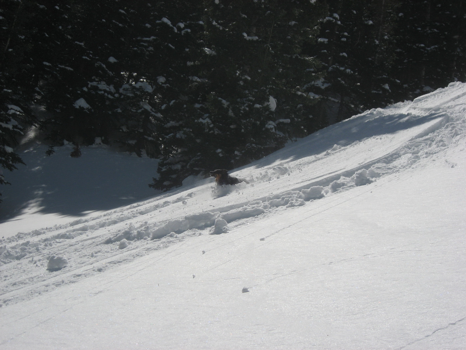 Indian peaks 19