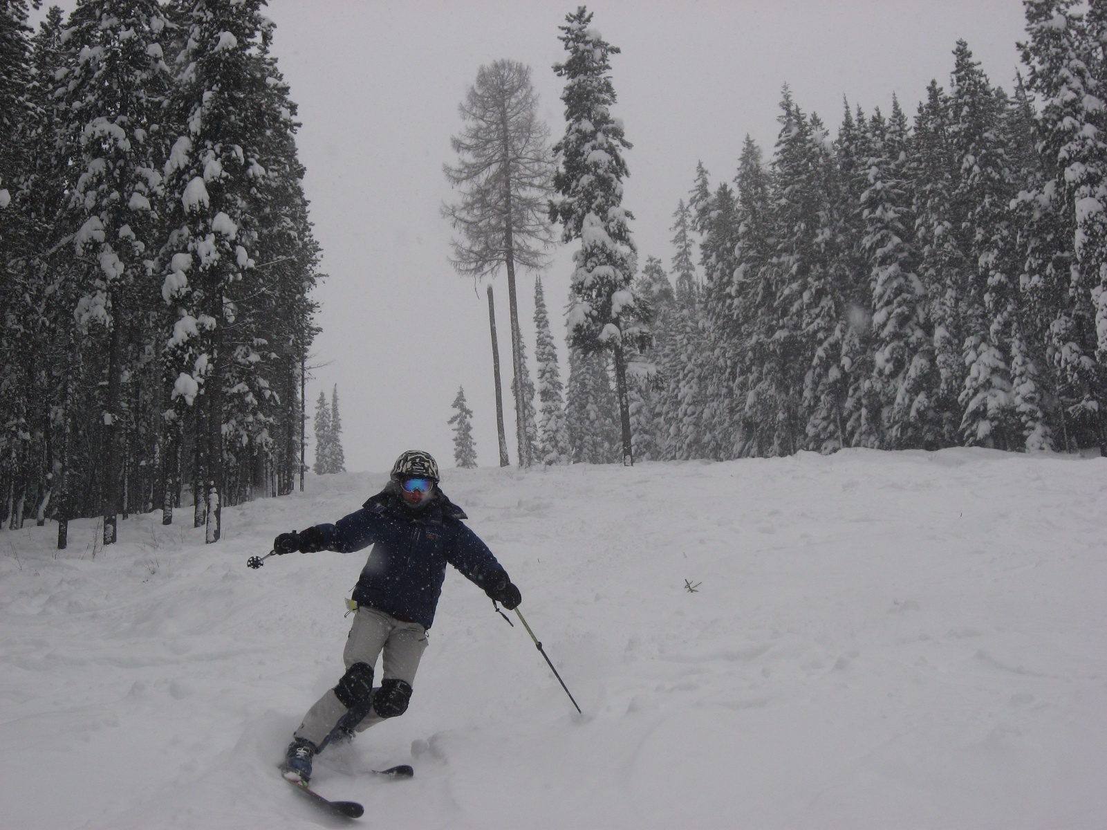 Kimberley dh 13