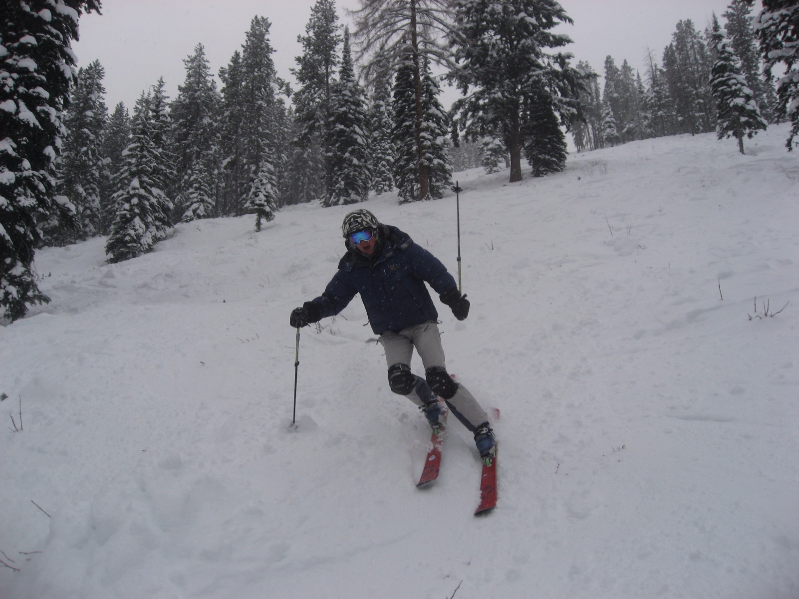 Kimberley dh 16