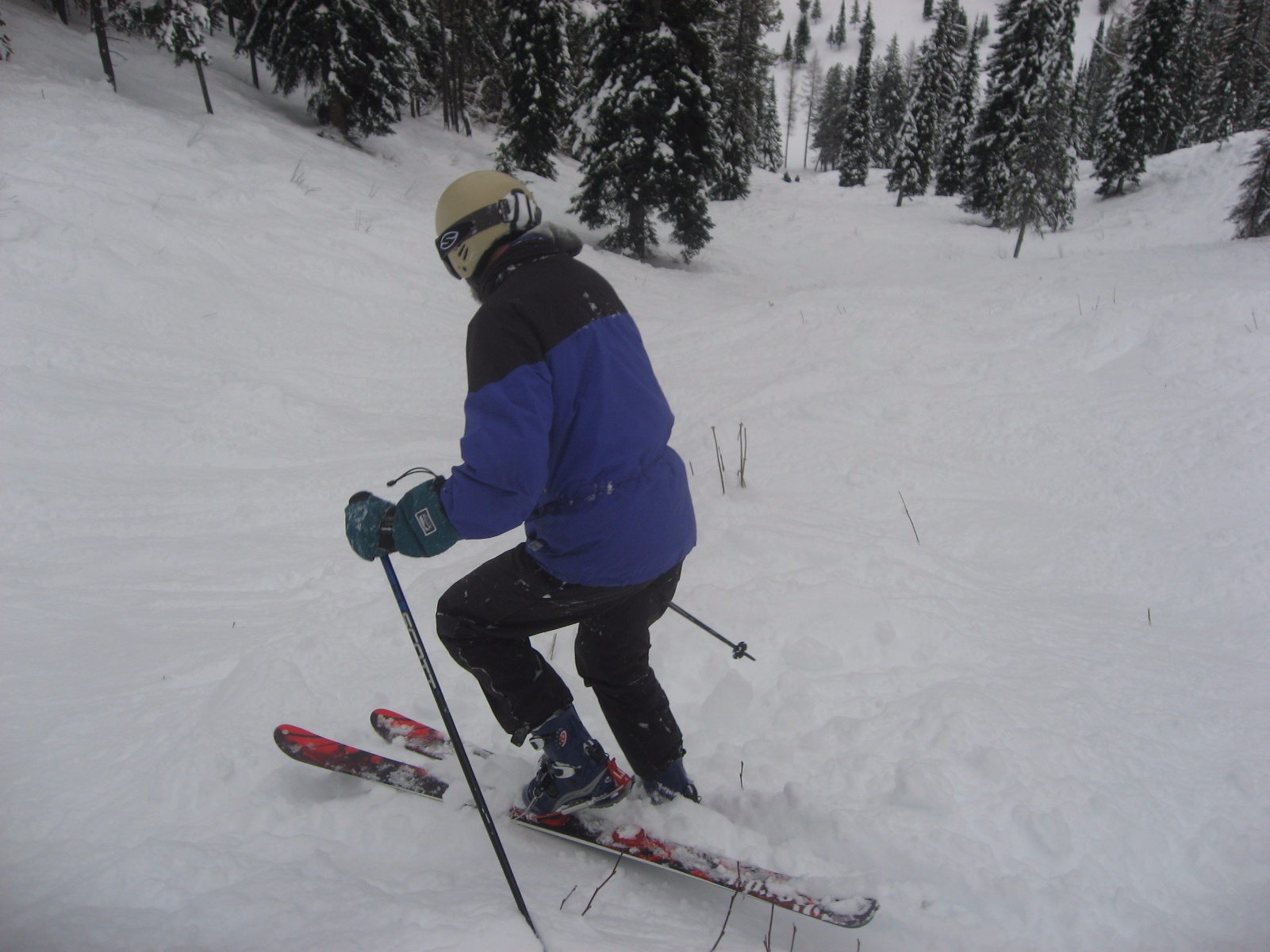 Kimberley dh 20