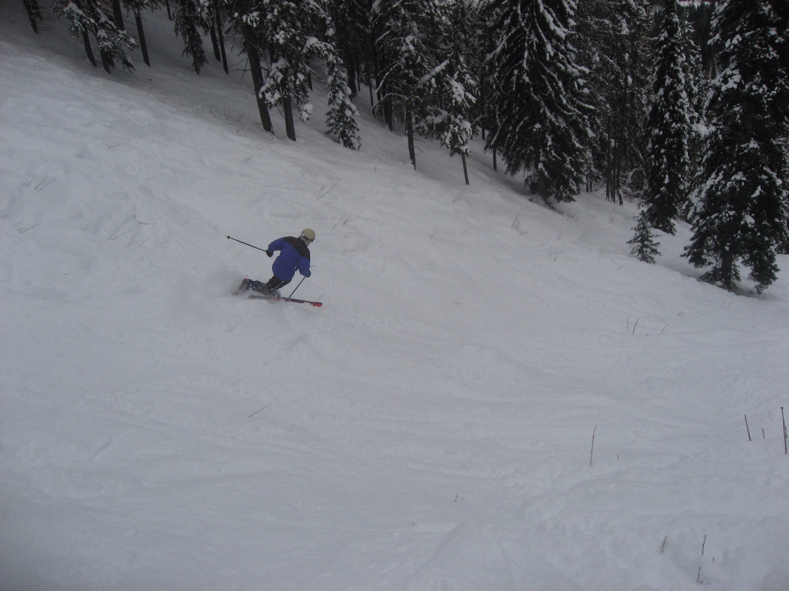 Kimberley dh 22