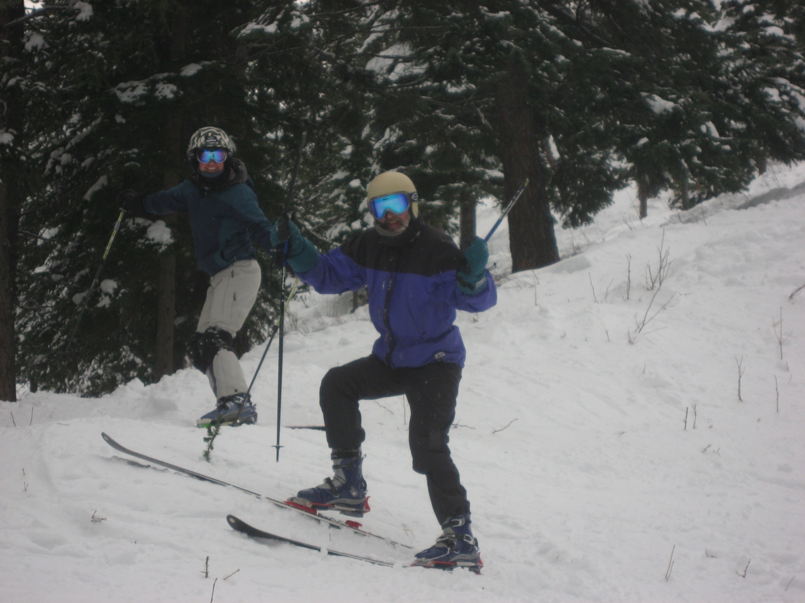 Kimberley dh 32
