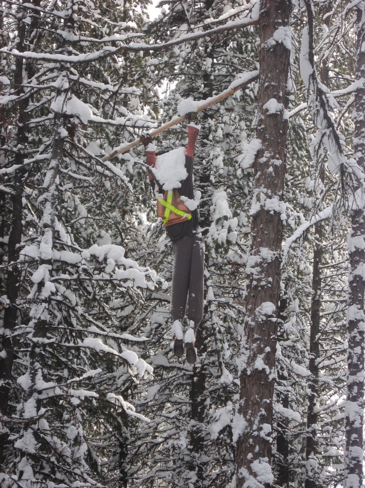 Kimberley dh 33