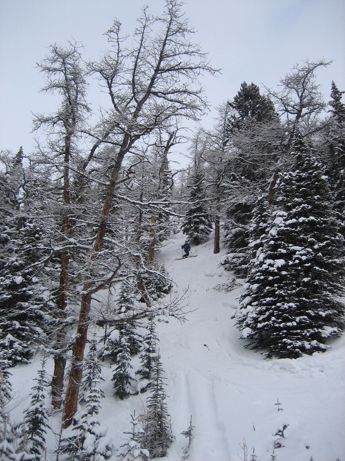 Lakelouise dh 0006