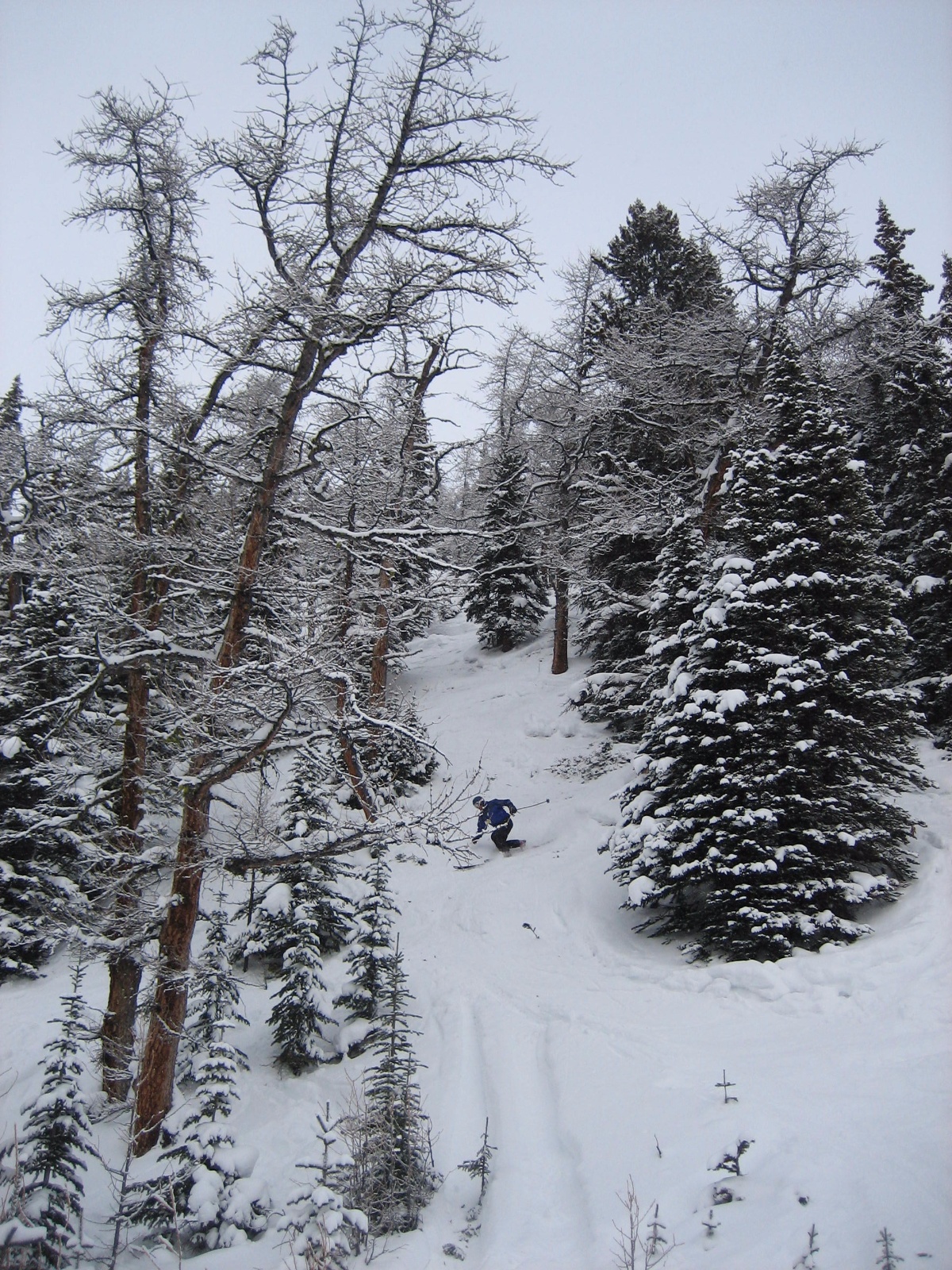 Lakelouise dh 0007