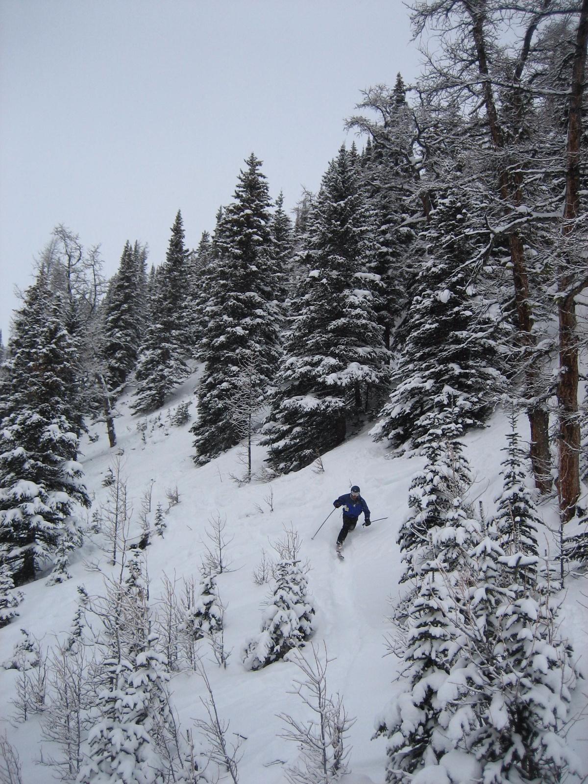 Lakelouise dh 0008