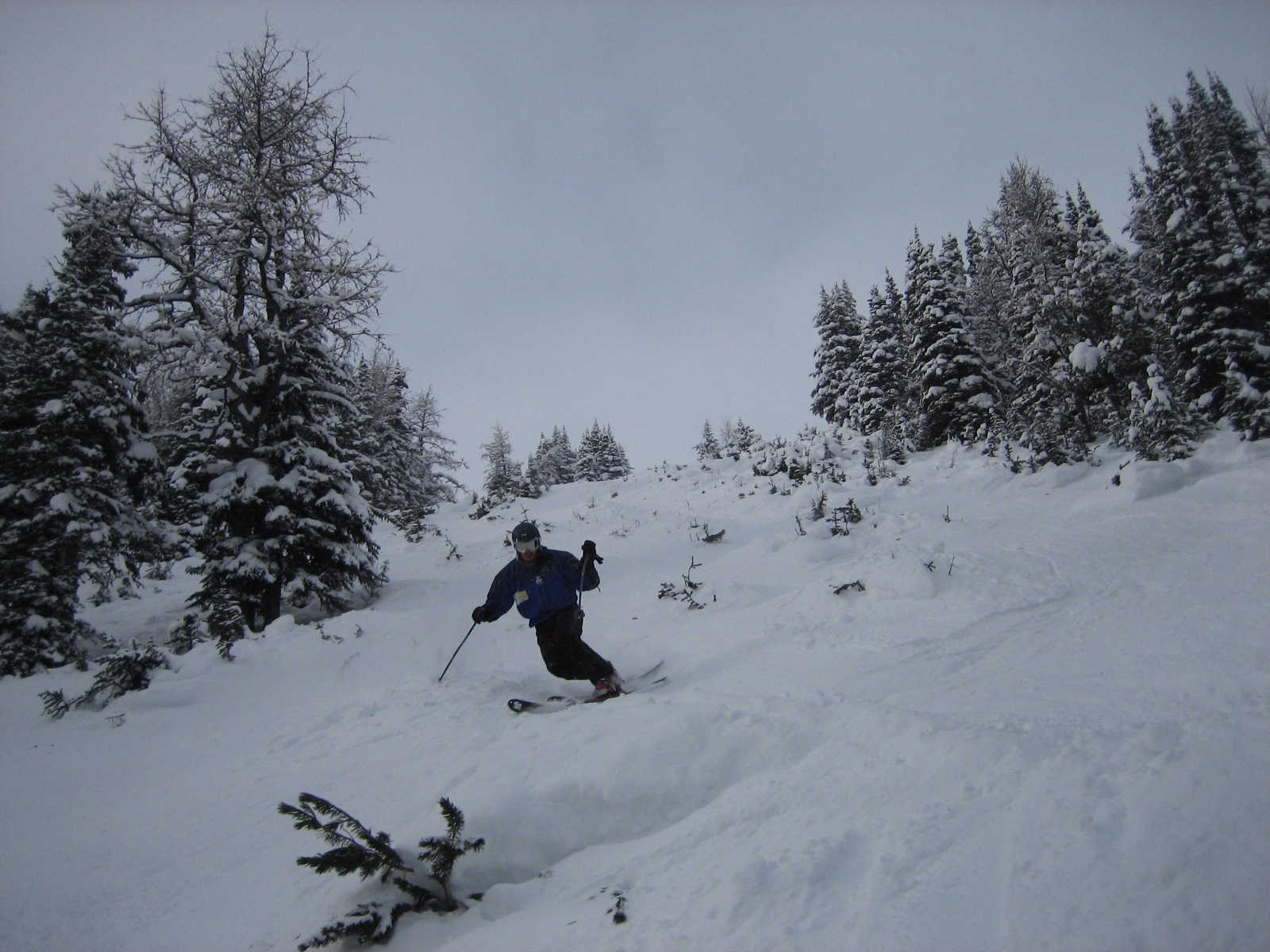 Lakelouise dh 0011