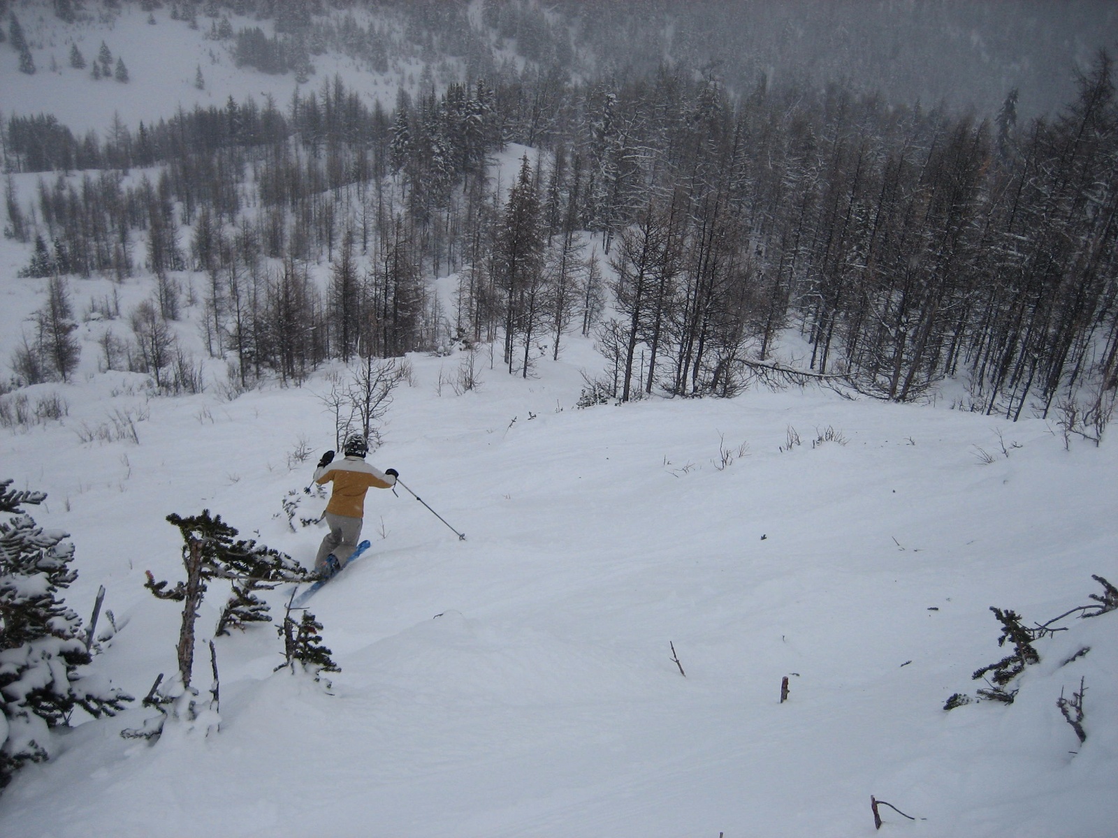 Lakelouise dh 0021