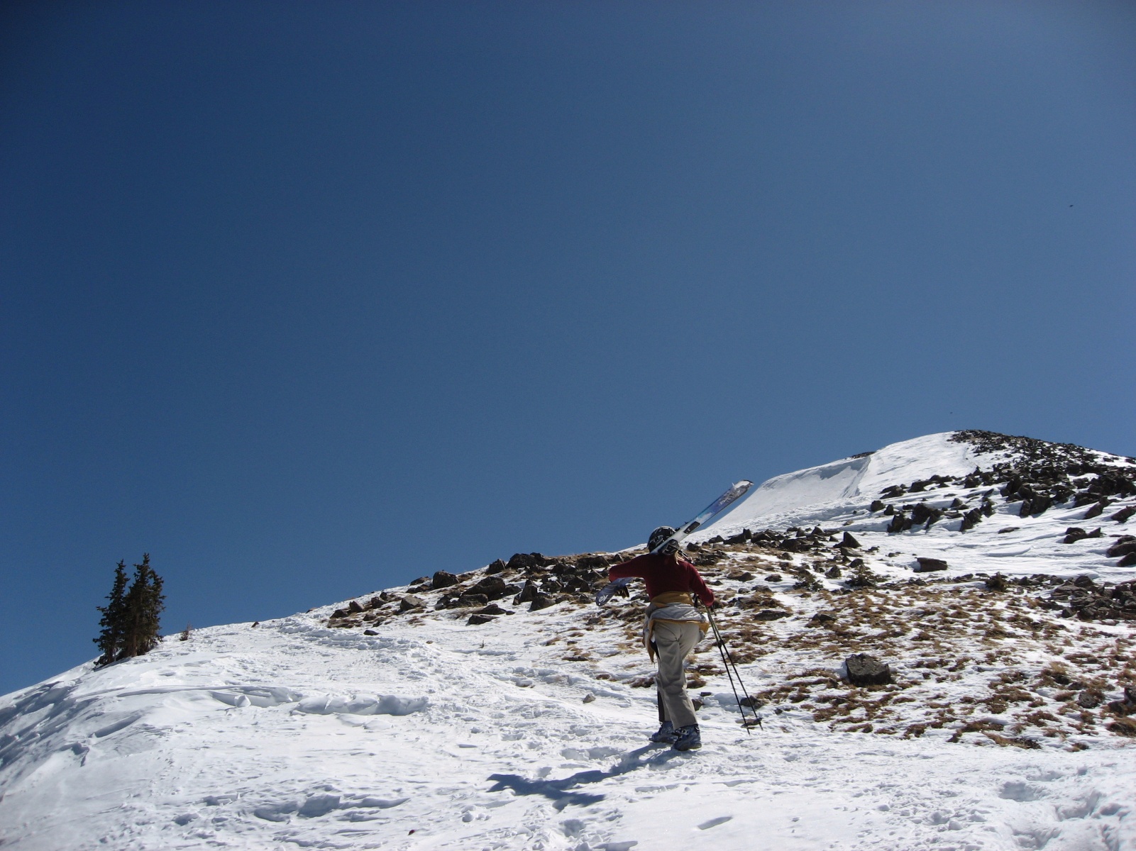 Taos0010
