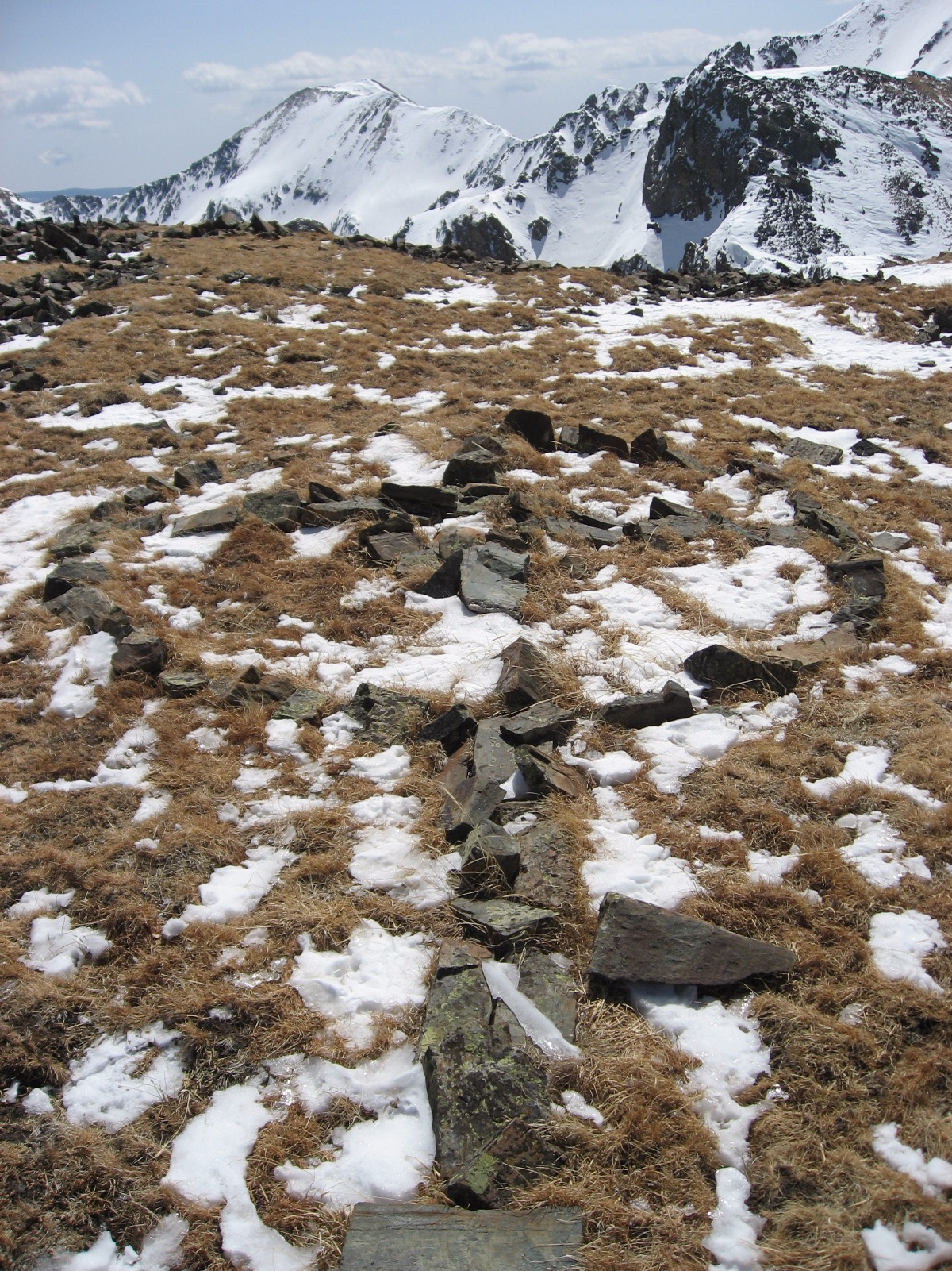 Taos0024