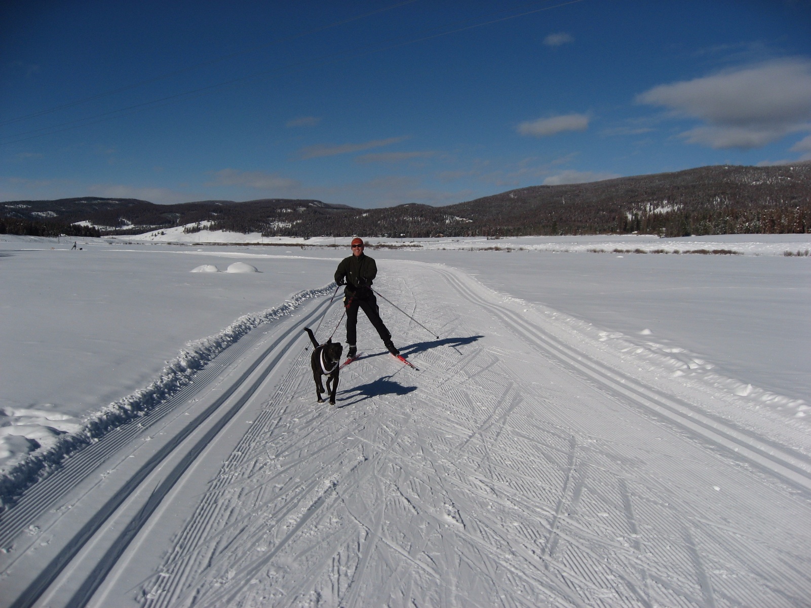 Skate Skiing Skiing