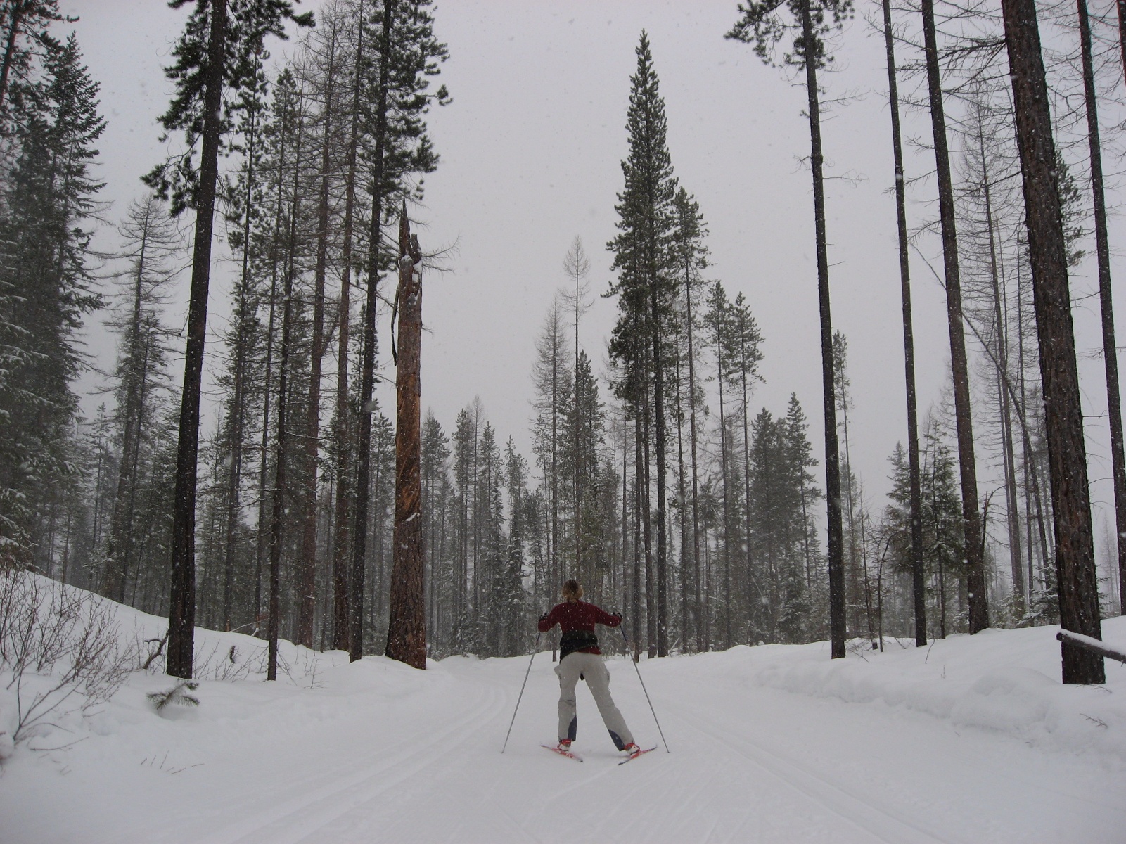 Skate kimberley 13