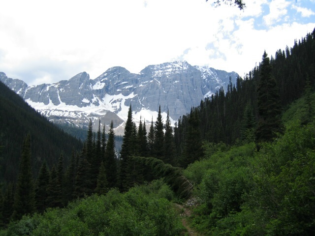 Bctrip0031