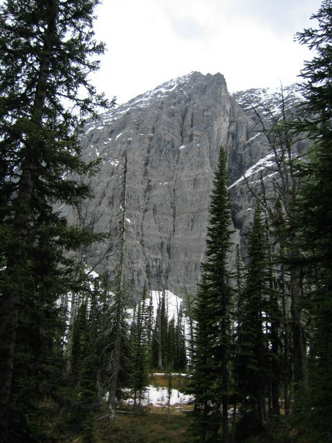 Bctrip0036