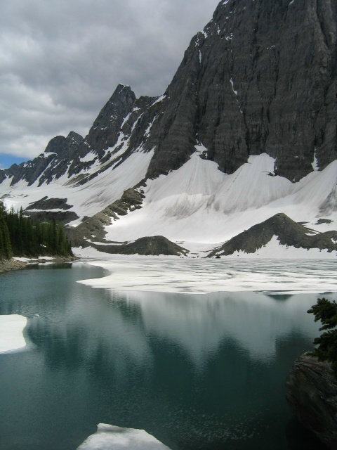 Bctrip0037