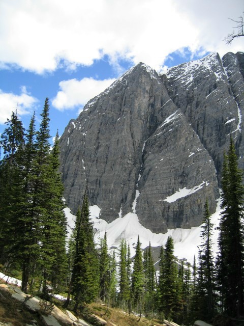 Bctrip0041