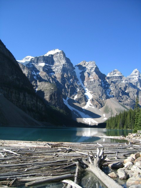 Bctrip0044