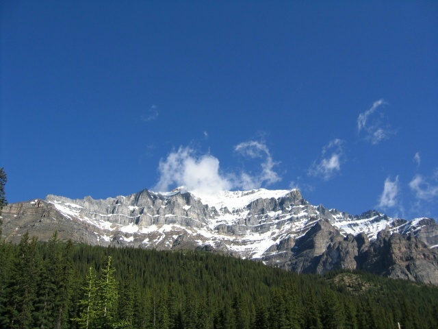 Bctrip0045