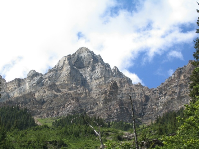 Bctrip0067