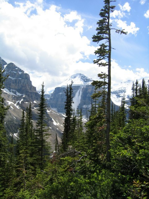 Bctrip0068