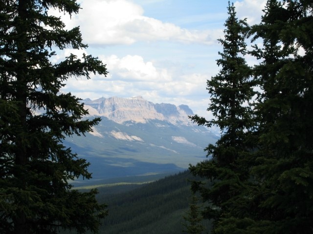 Bctrip0080
