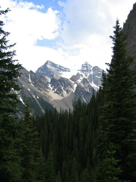 Bctrip0081