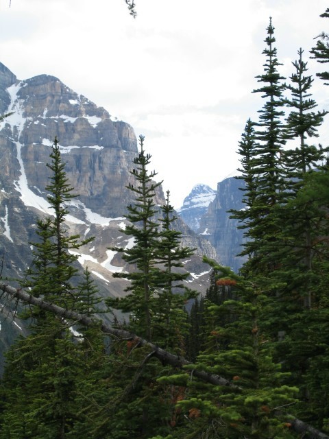 Bctrip0082