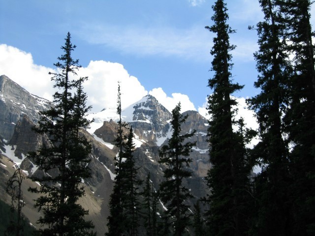 Bctrip0084